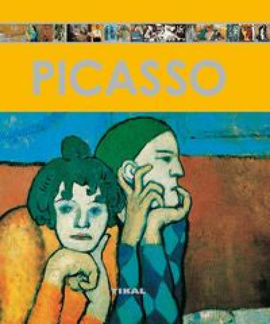 Picasso Libro