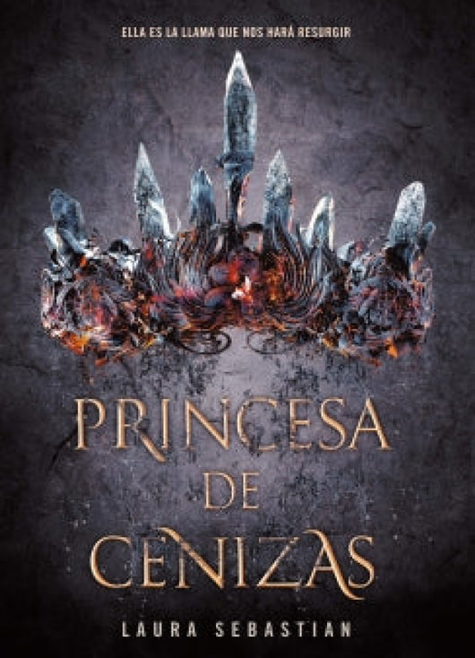 Princesa De Cenizas Libro