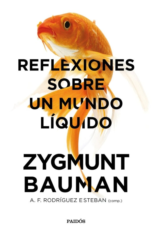 Reflexiones Sobre Un Mundo Líquido Libro