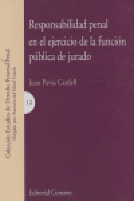 Responsabilidad Penal Ejercicio Funcion Publica Jurado Libro