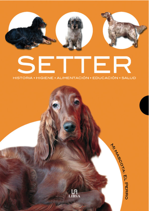 Setter Libro