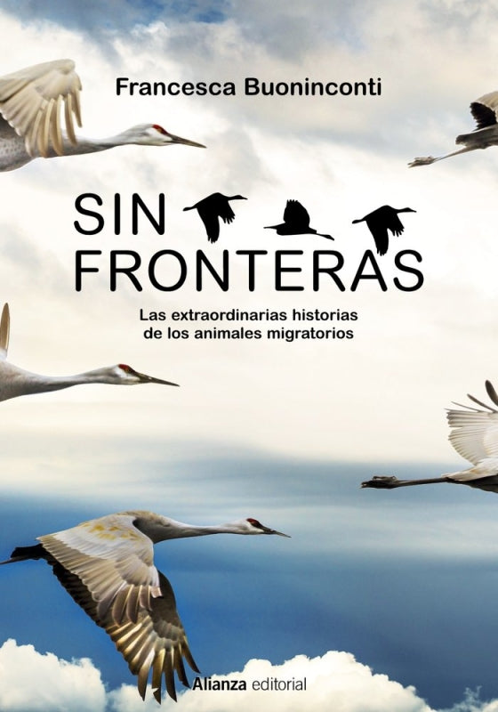 Sin Fronteras Libro