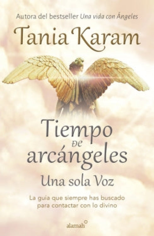 Tiempo De Arcángeles Libro