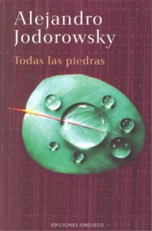 Todas Las Piedras Libro