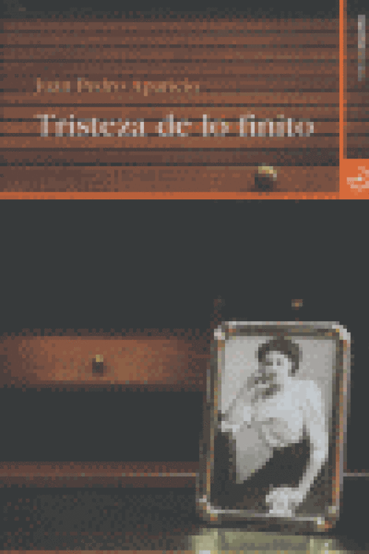 Tristeza De Lo Finito Libro