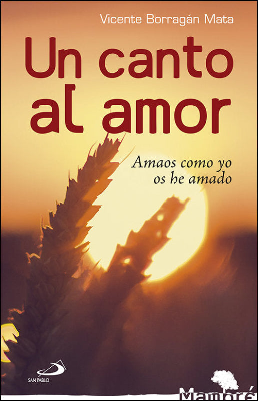 Un Canto Al Amor Libro