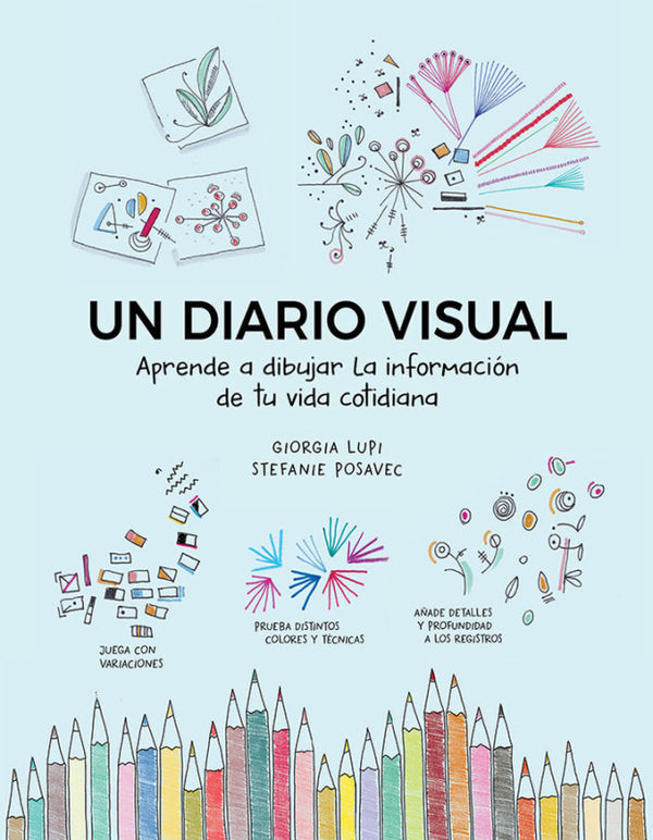 Un Diario Visual Libro