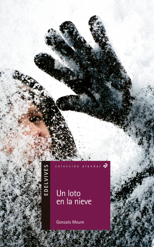 Un Loto En La Nieve Libro