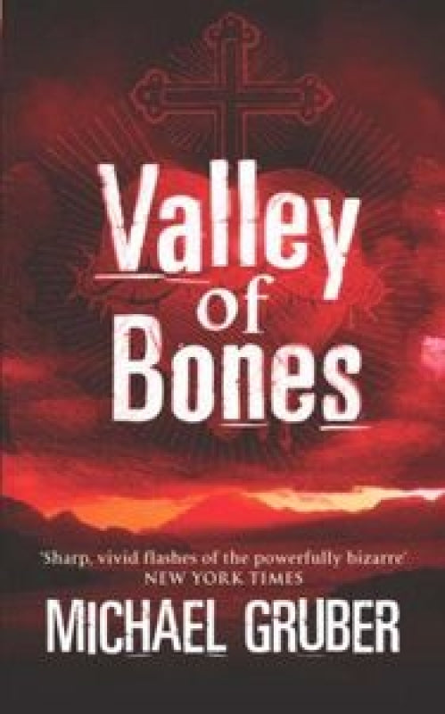 Valley Of Bones Libro